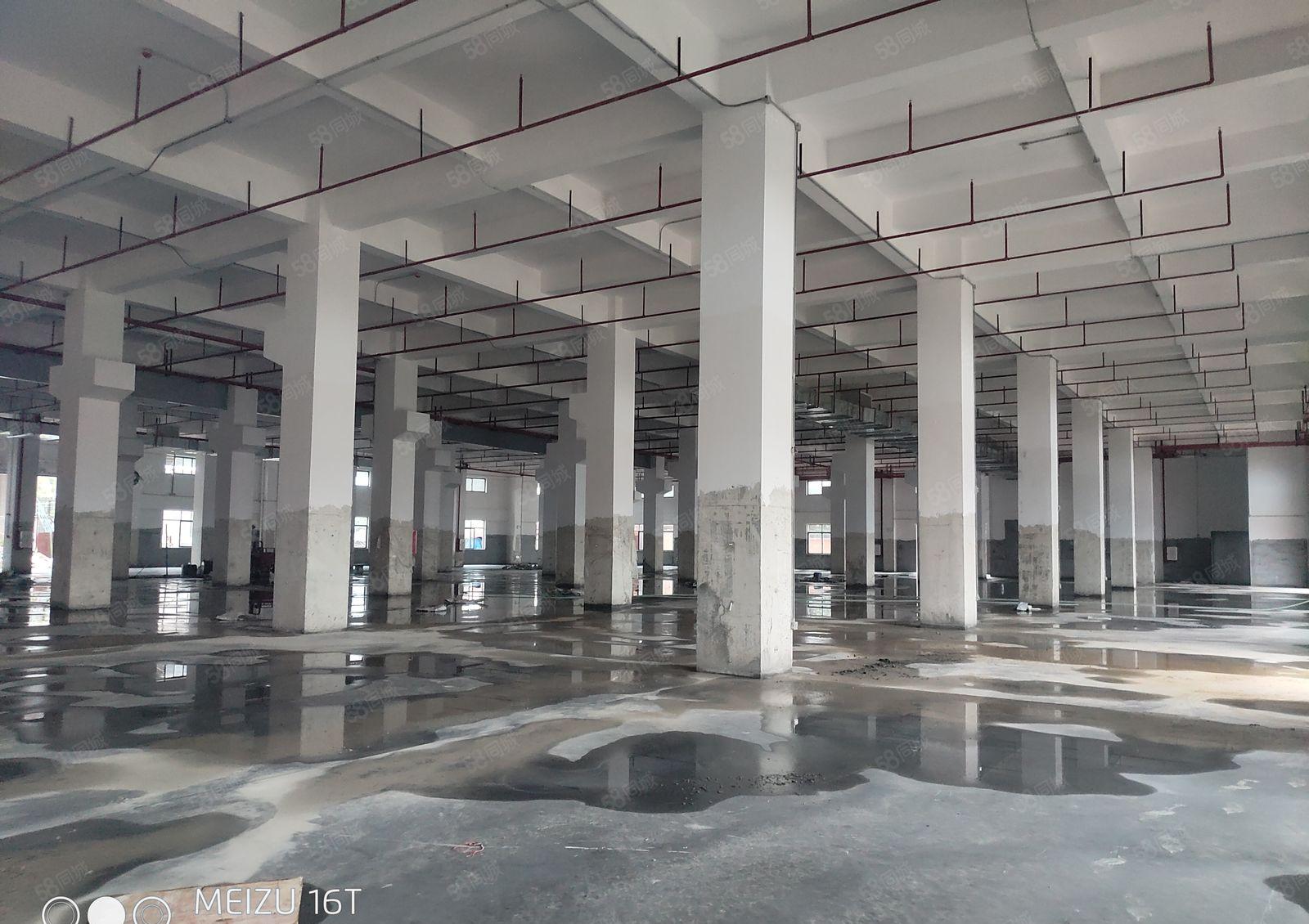 惠州市博罗县龙溪镇原房东独院16500平方厂房仓库出租