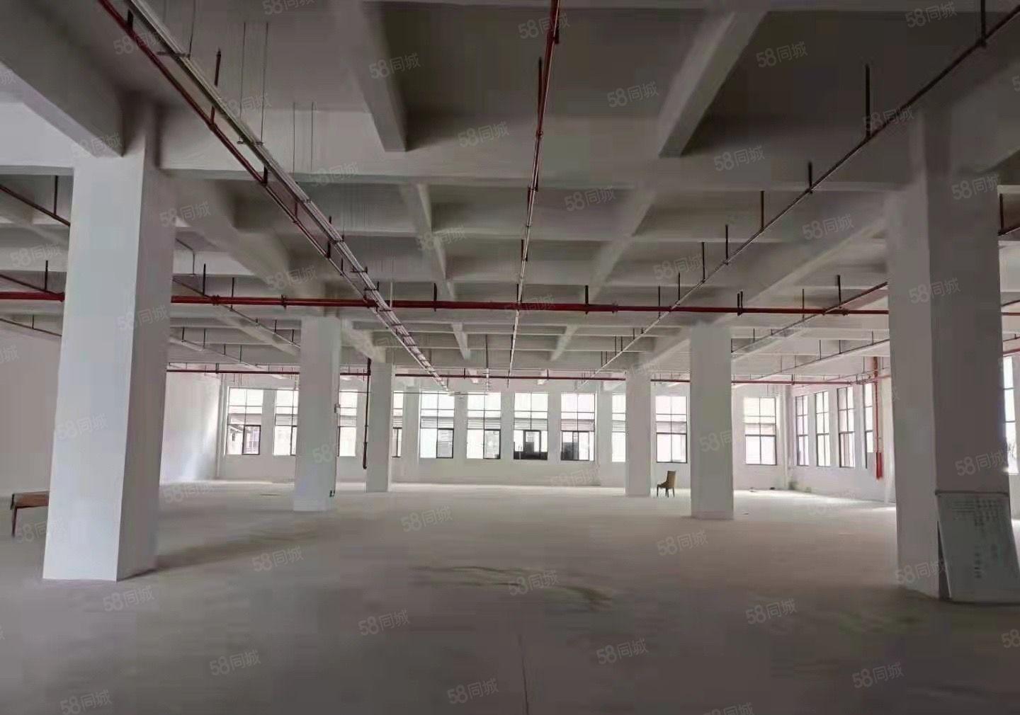 园洲单一层加标准厂房总面积41000平方