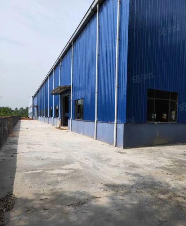 博罗县全新10米高钢结构4300平方招租