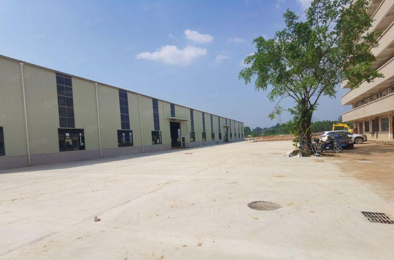 2000平方起租 滴水9米全新钢结构低价出租 有消防喷淋