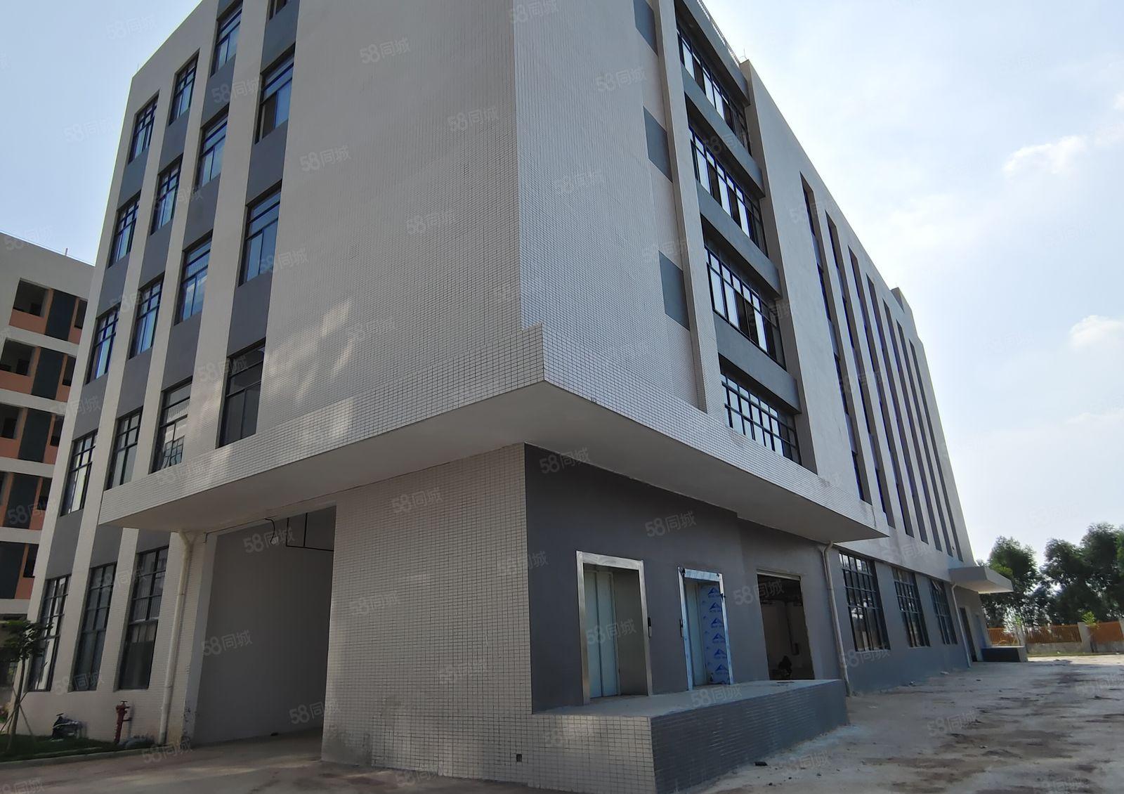 5百8百2千可分租博罗龙溪5万平原房东独院厂房仓库出租带红本