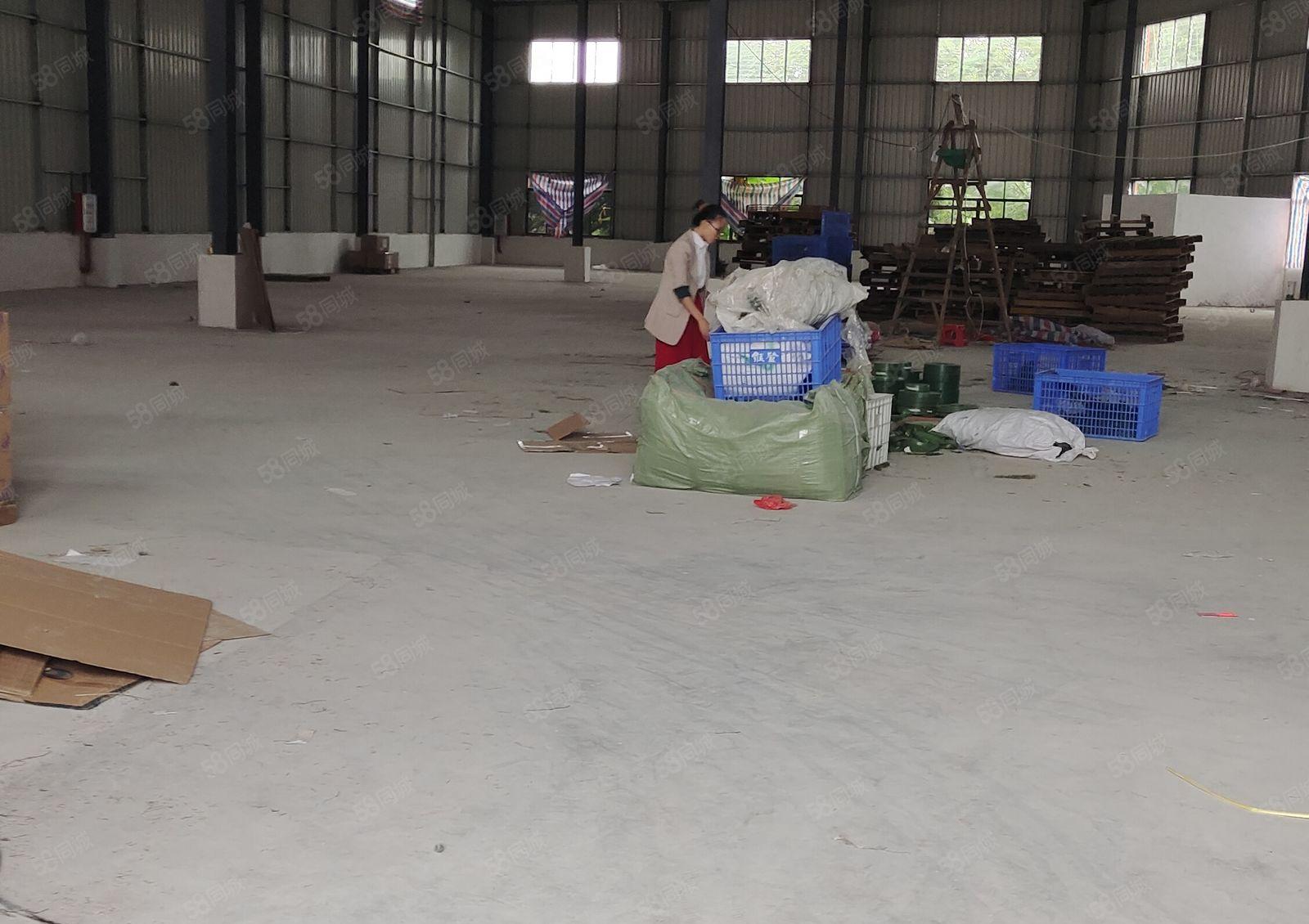 石湾镇科技园钢构厂房出租1000平方，证件齐全，交通方便