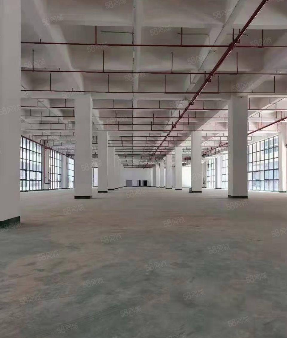 龙溪全新厂房出租  价格优惠  环境形象佳