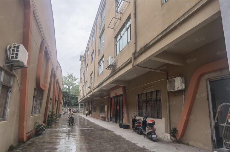 园洲镇现成无尘车间1000平出租