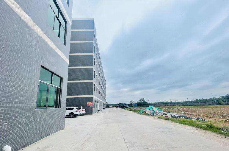 园洲靓厂房 高速路旁 环评秒过 带饭堂精装宿舍 空地可租