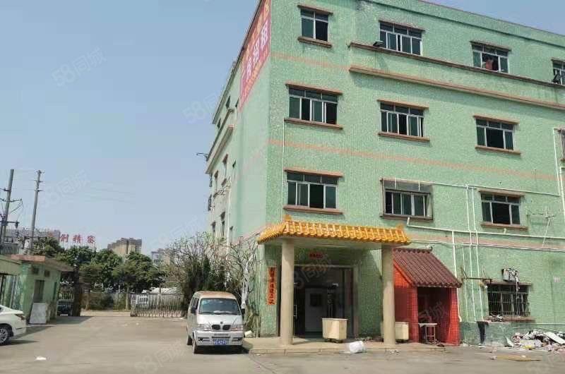 园洲镇花园式独院标准厂房