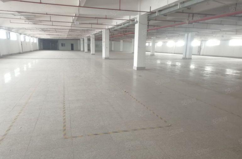 园洲一手房东尾盘4600平只租6块钱实际面积