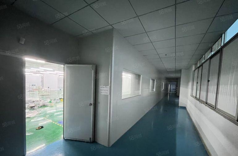 现场精装修无尘车间！罗阳镇原房东红本厂房园区2楼3200平