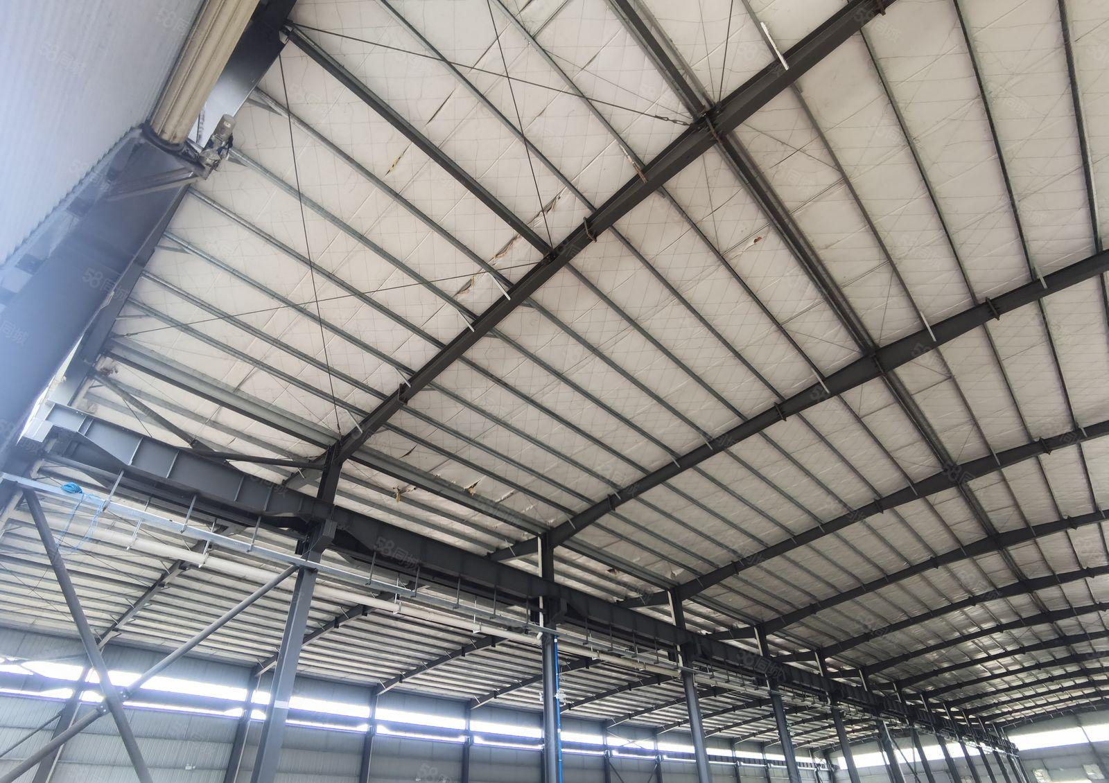 龙溪街道独门独院钢结构厂房面积2880高度9米招租