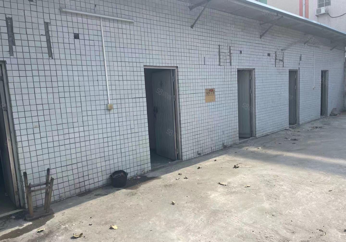 龙溪600平方小独院现成办公宿舍100平方空地400