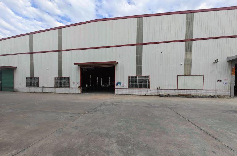 园洲镇原房东滴水11米高钢构厂房4200平米，实际面积出租