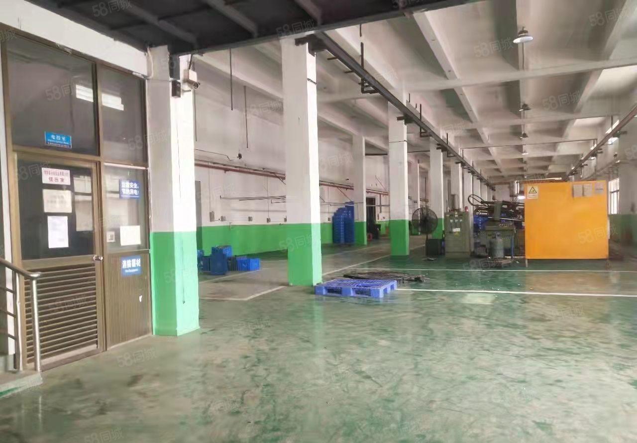 园洲新出独院标准两层厂房5200平方带独立办公楼宿舍证件齐全