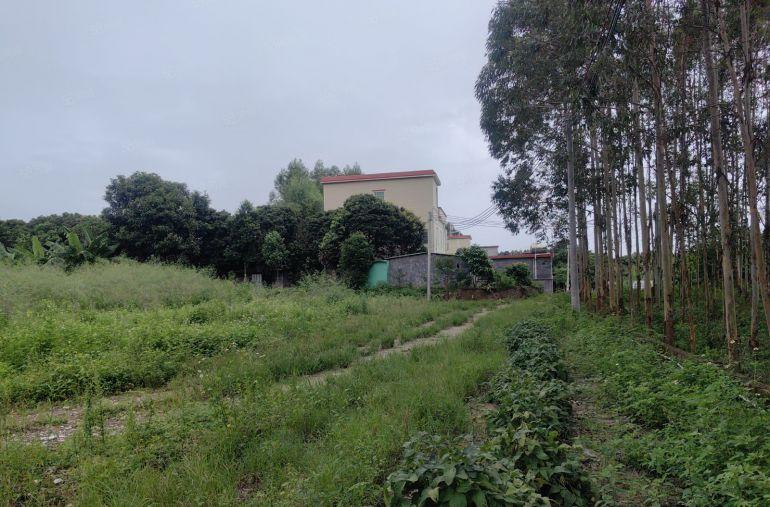 厂房出租 独门独院700平天大空地 周边无居民区