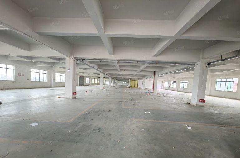 园洲独门独院标准厂房21500平，豪华办公室装修，可分租