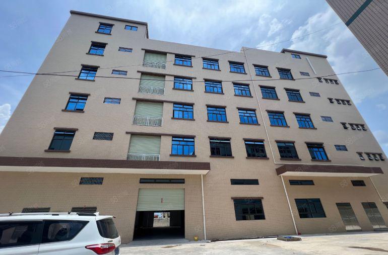 园洲全新标准独院！可做仓库！可分租！