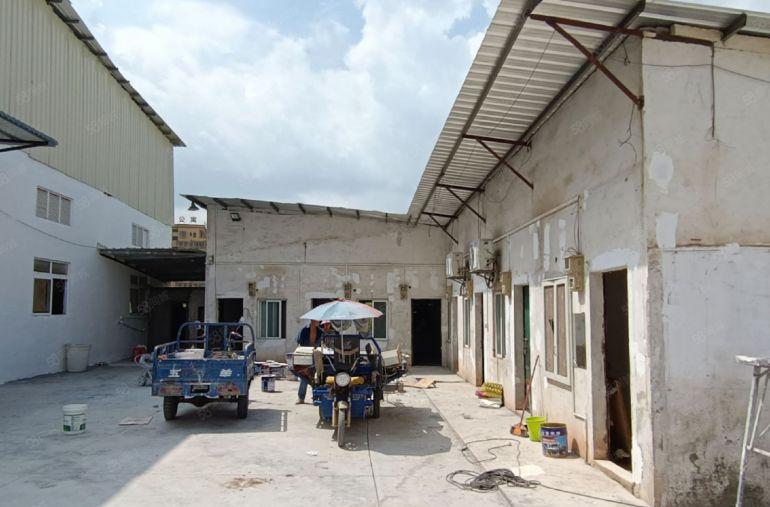 园洲镇原房东独门独院单一层2600平厂房出租