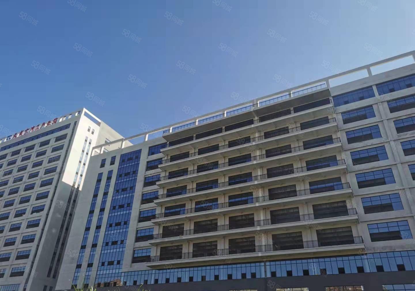 龙溪龙桥大道，电镀基地旁23万平方红本工业厂房，大小可分租！