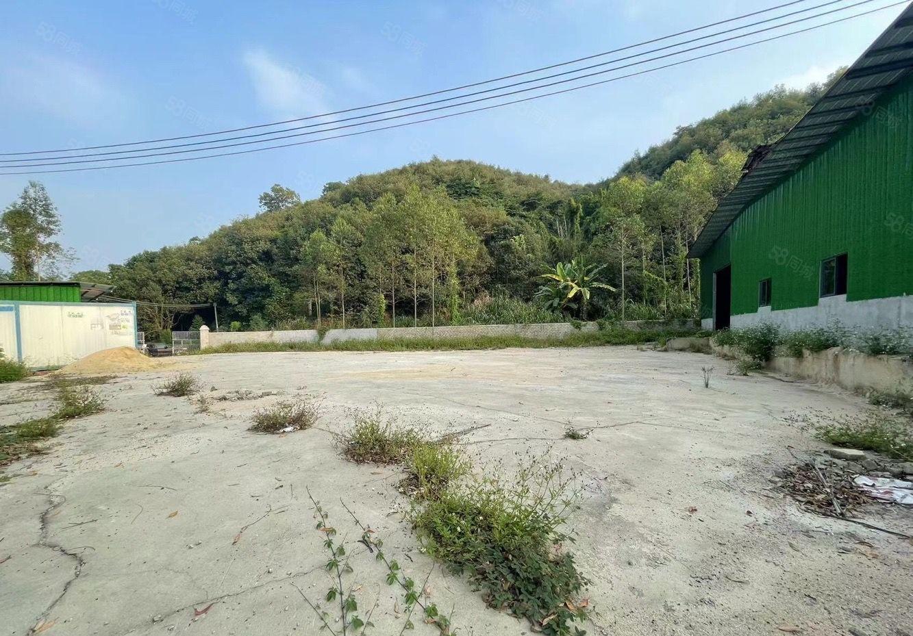 石湾镇新出山脚下周边无居民交通方便原房东独院单一层1600