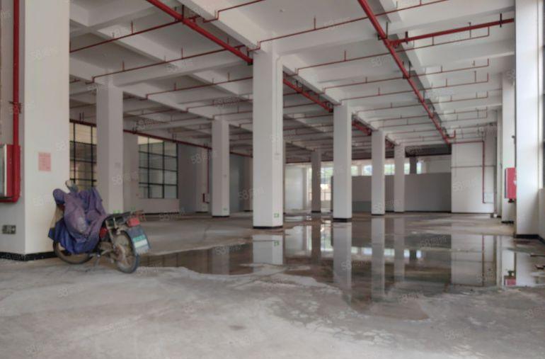 龙溪电镀基地边一楼标准厂房 高层高 周边无居民 采光好