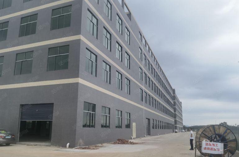 园洲镇原房东全新独栋标准厂房