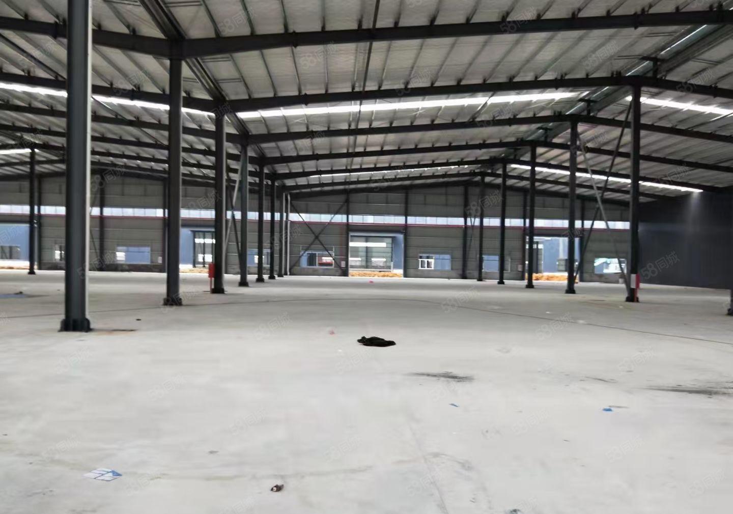 龙溪街道单一层钢结构厂房面积6000高度10米大小可分租