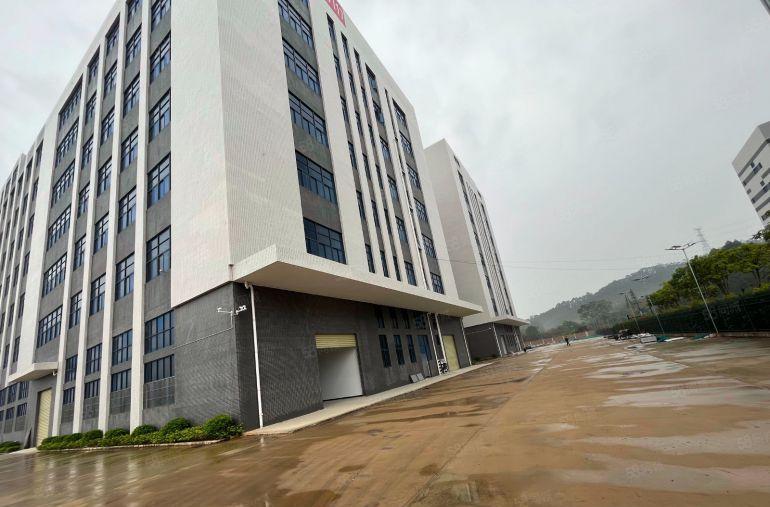 博罗镇罗阳镇原房东工业园出租，单层面积2500平方，大小分租