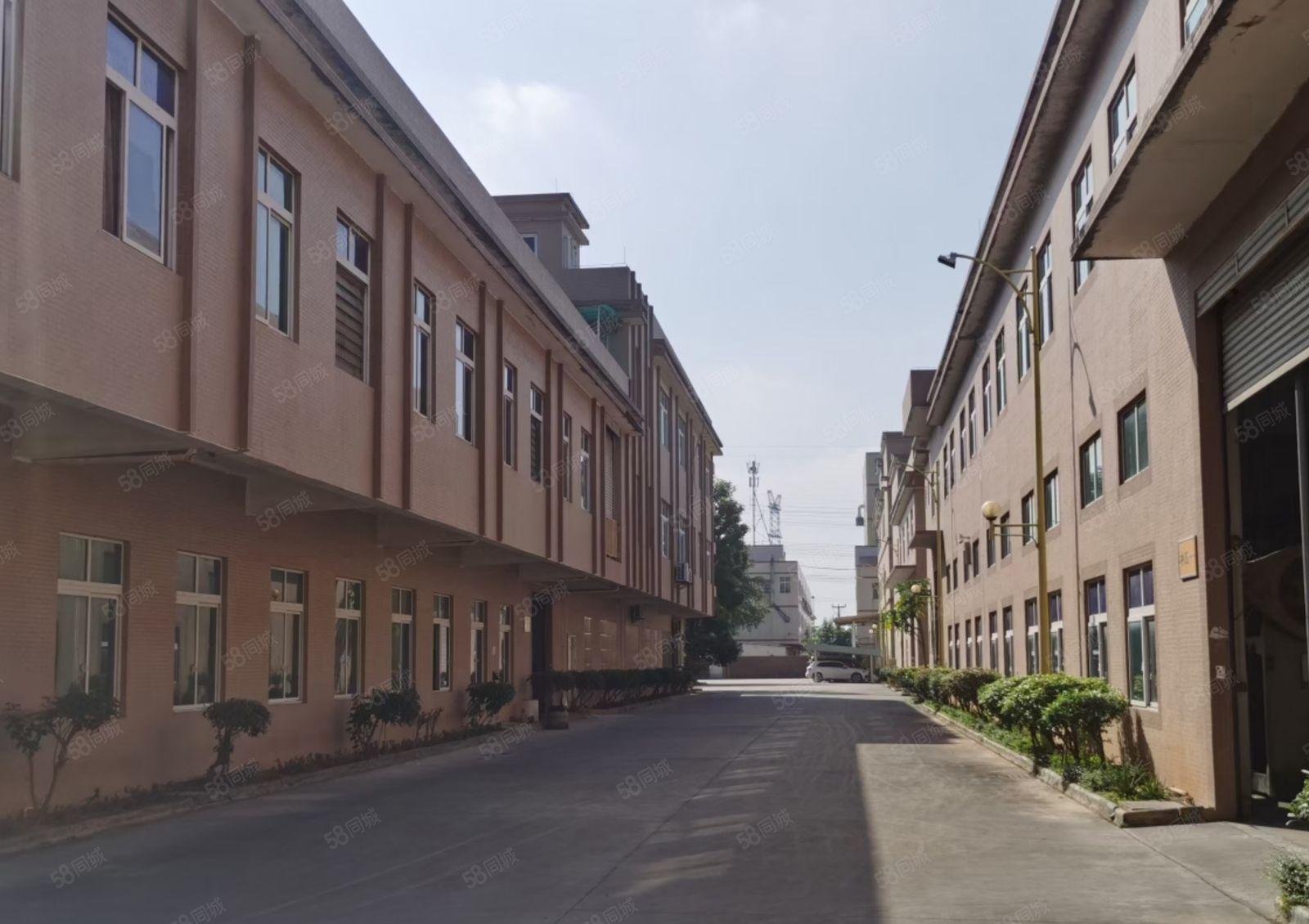 博罗园洲花园式厂房招租