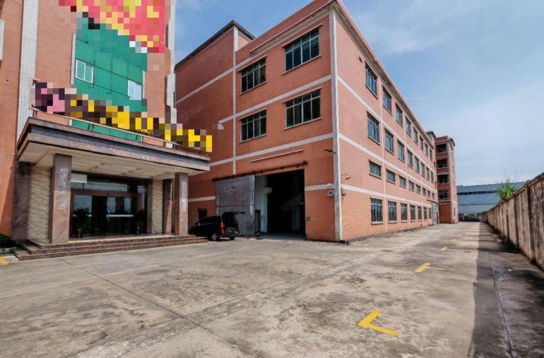 园洲镇阵村工业区标准厂房9300平米出租，可分租！