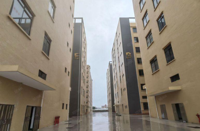 龙溪全新厂房出租 有空地独立厂房 随时入驻 一手房东价格可谈