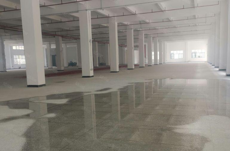 石湾镇厂房出租全新重工业厂房出租