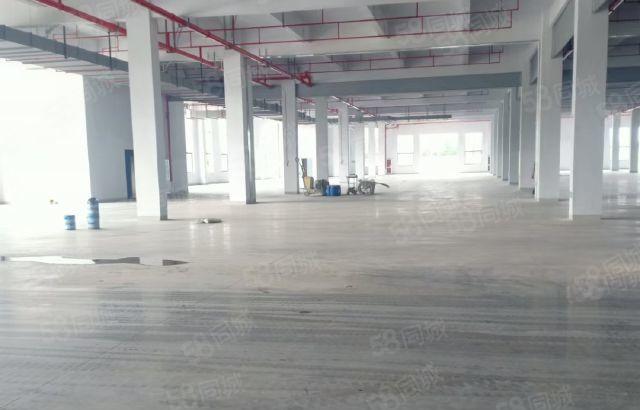 博罗石湾标准厂房出租 无行业要求 价格优惠