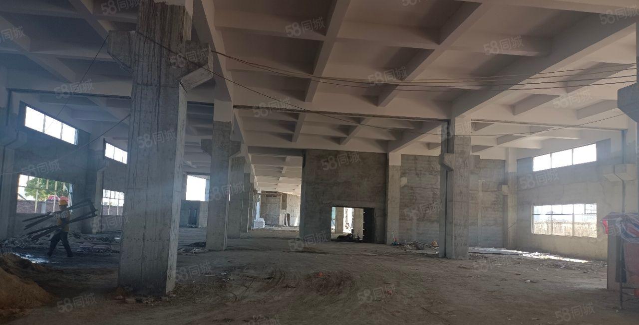 自建厂房！石湾全新独院标准一楼7米带牛角，格局方正，不限行业