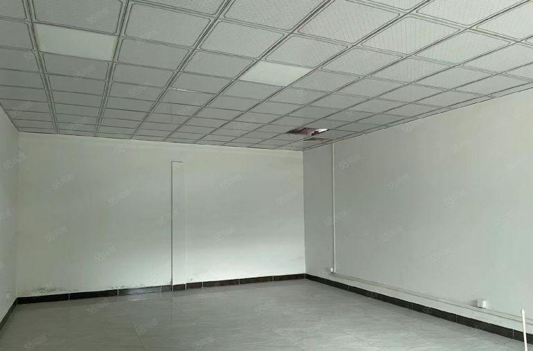 园洲低价全新单一层厂房 可分租 可办环评 超大空地