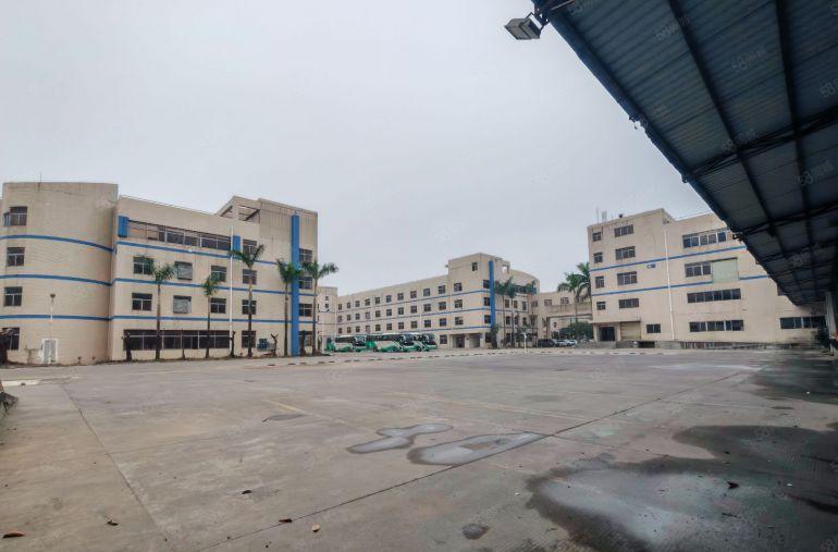 8元！8元！原房东直租一楼8米无公摊红本证件齐全 环评秒批