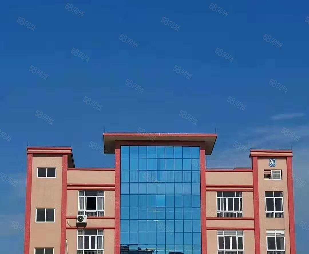 惠州市石湾镇原房东全新独门独院标准厂房33000平方招租