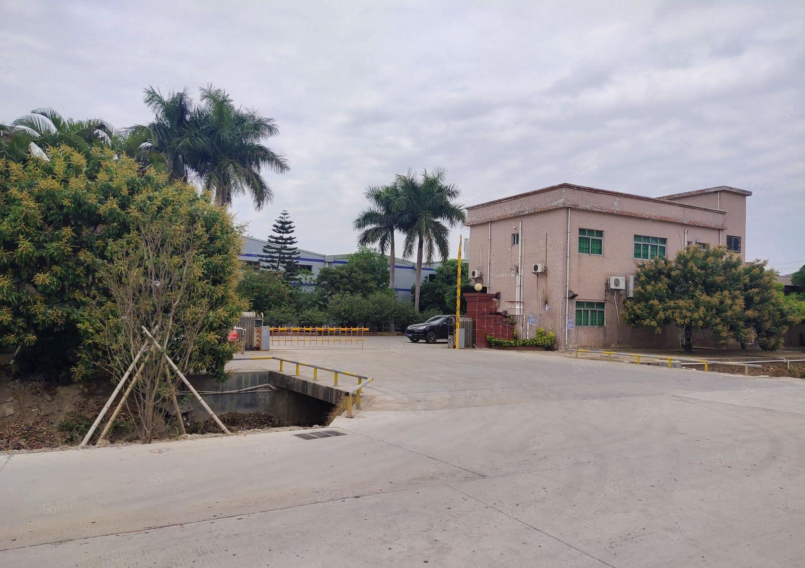 园洲原房东花园式独院厂房出租1500方，可分租，可做小污染。