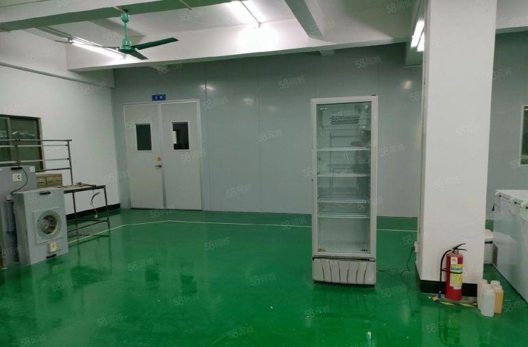 惠州石湾原房东厂房 600平整层带装修水电到位底价8元出租