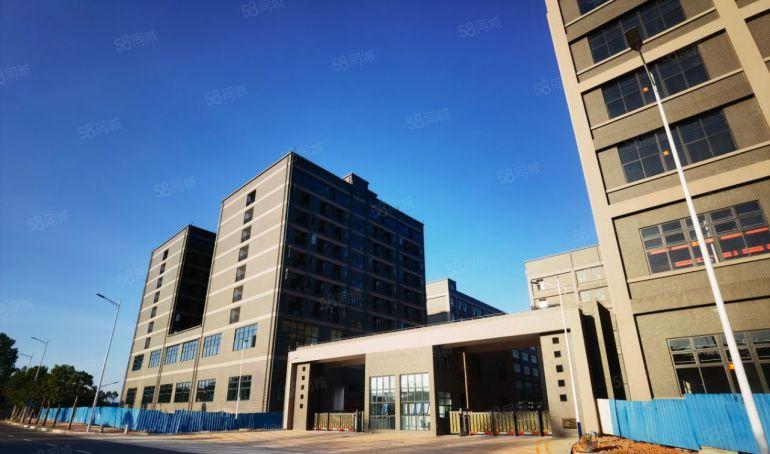 博罗罗阳4.5元原房东标准厂房出租证件齐全国道旁可分租