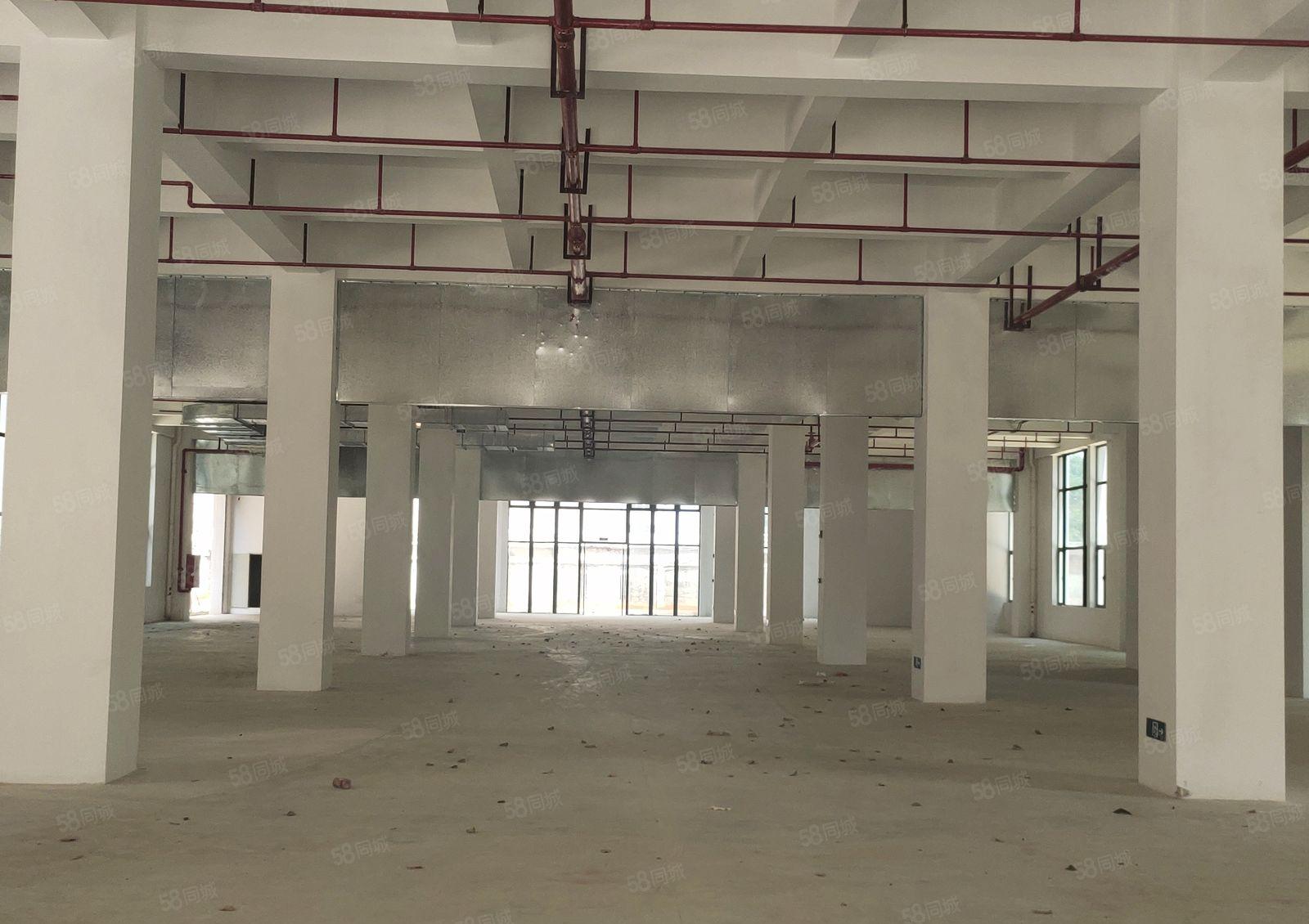 园洲高新产业园花园式全新重工业红本双证厂房政府扶持项目