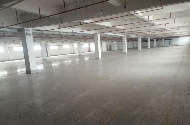 园洲一手房东尾盘4600平只租7.5块钱实际面积