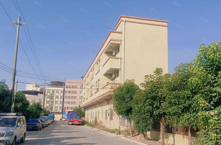 石湾原房东独院厂房出租4300平方，空地大。证件齐全交通方便