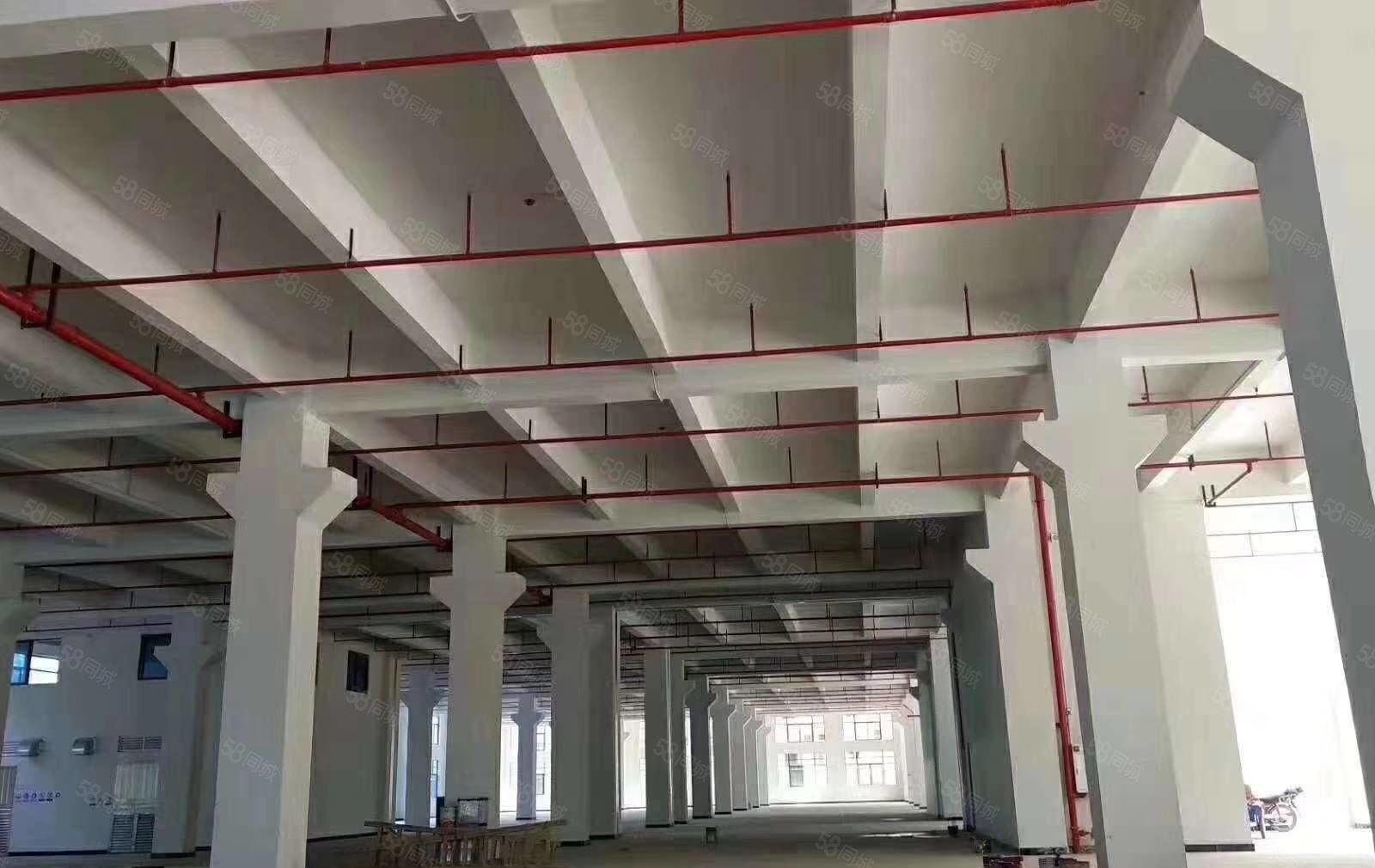 （临广州）惠州石湾科技园全新标准厂房35000平米招租