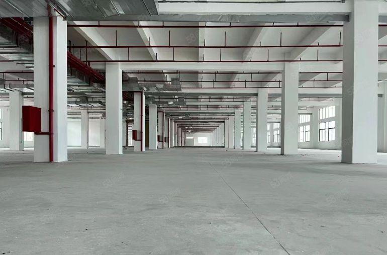 小金金龙大道边原房东全新厂房96000平方出租