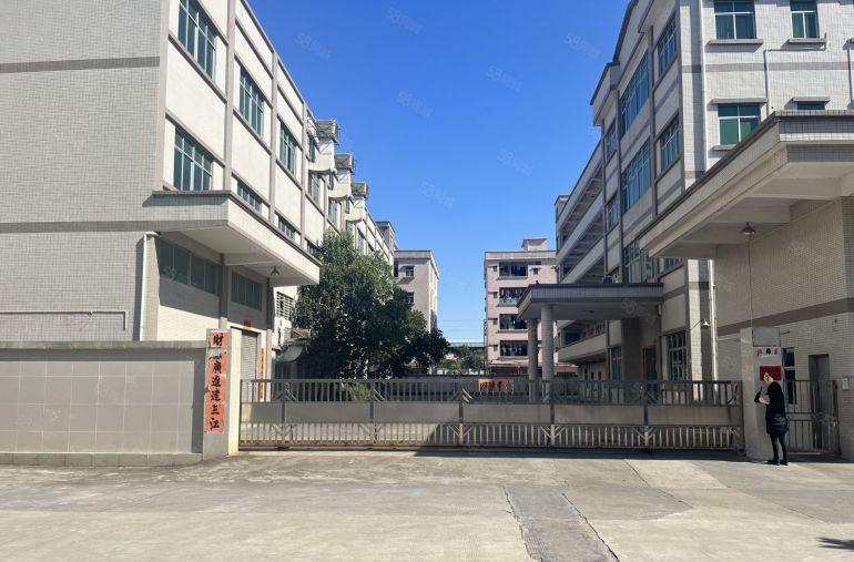 园洲原房东厂房出租独院，适合五金电子研发科技加工等行业空地大