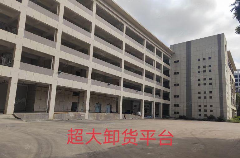 惠州金龙大道附近全新标准厂房12400平方低价出租