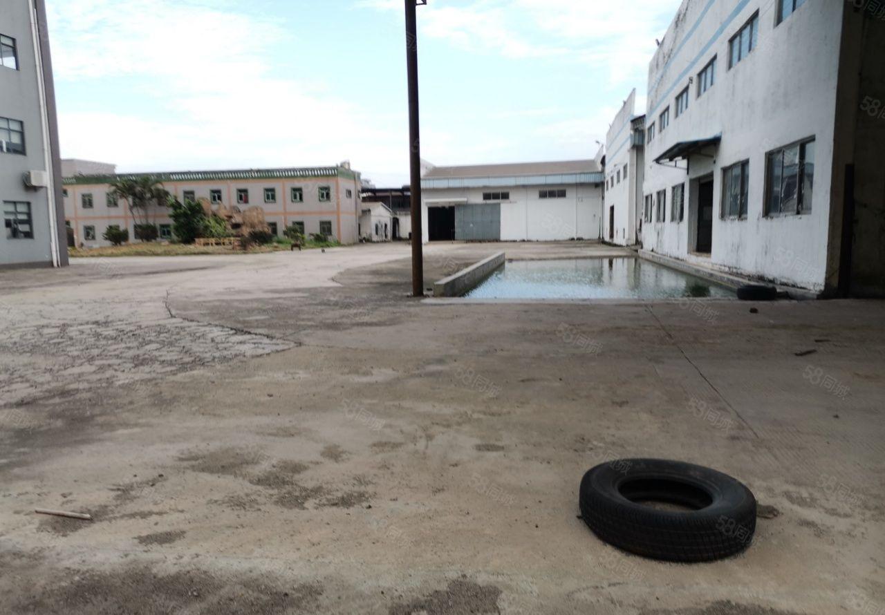 园洲广惠高速口原房东花园式红本钢构厂房40000