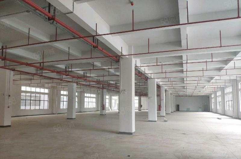 博罗大道边原房东标准厂房c栋4楼2200出租仅租10元