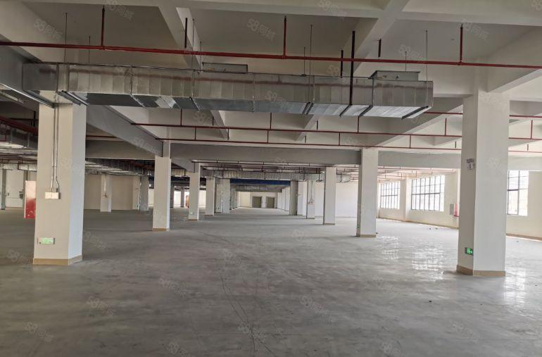 惠州市博罗县石湾镇，红本标准厂房出租，证件齐备可办环评