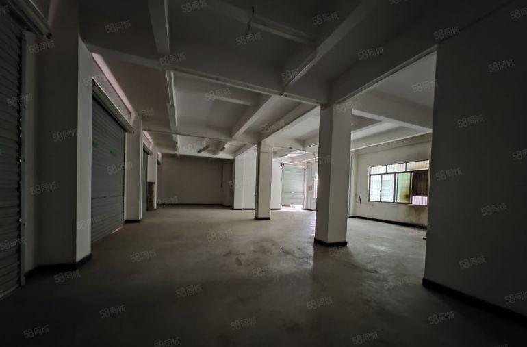 园洲新出标准1080平厂房，原房东好说话