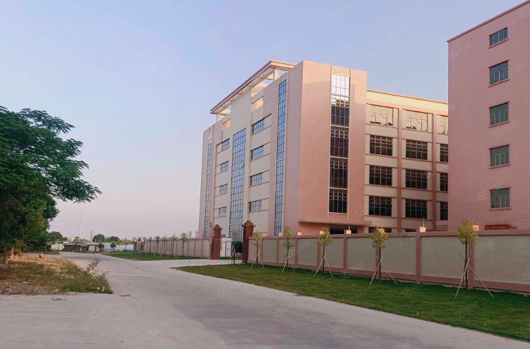 石湾原房东独院厂房低价出租40000平方，实际面积，证件齐全